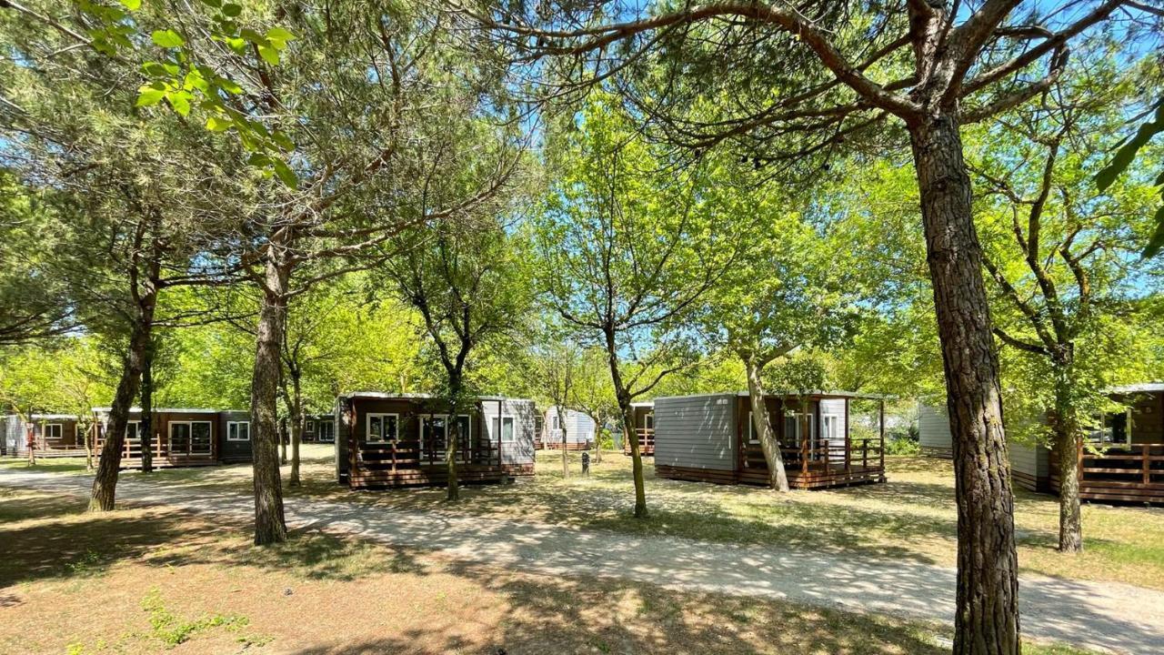 New Campsite In Camping Ca' Savio Cavallino-Treporti Exterior foto